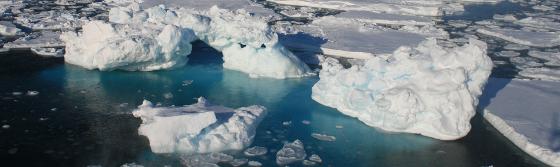 Vestisen+234 (2) crop.jpg